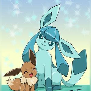 CCO Bundle @someanbynature